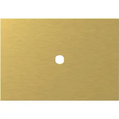 Modul Edge Rama metal auriu 1/3M pt pin, TEM Modul TEM-OG13MZP-U