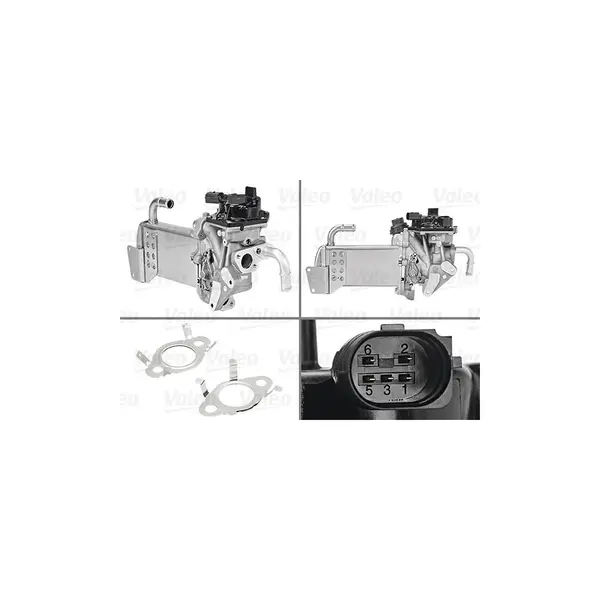 Modul-EGR VALEO 700435