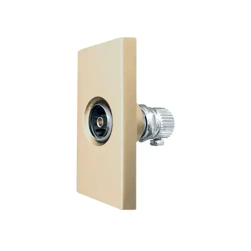 Modul Priza TV 1M LUXION, Auriu