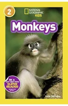 Monkeys - Anne Schreiber