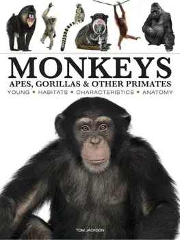 Monkeys, Paperback/Tom Jackson