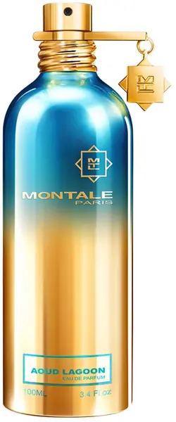 Montale Apă de parfum Aoud Lagoon, 100 ml