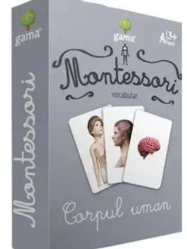 Montessori. Vocabular. Corpul uman/***
