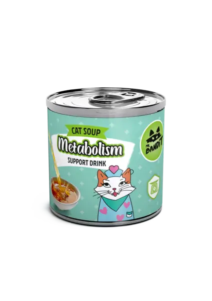 Mr. Bandit supă funcțională cu somon pentru metabolismul pisicilor