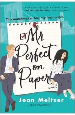 Mr. Perfect on Paper - Jean Meltzer