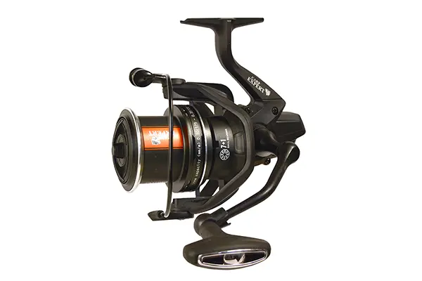 Mulineta Carp Expert Score Method 5500