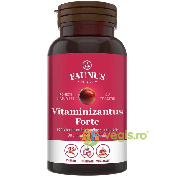 Multivitamine pentru Energie si Imunitate Vitaminizantus Forte 90cps