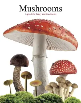 Mushrooms. A guide to fungi and toadstools, Paperback/Liz O'Keefe