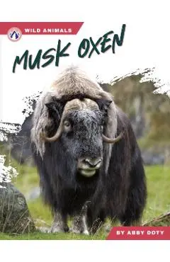 Musk Oxen - Abby Doty