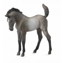 Mustang - Grulla manz