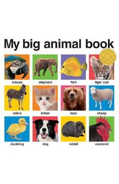 My Big Animal Book - Roger Priddy