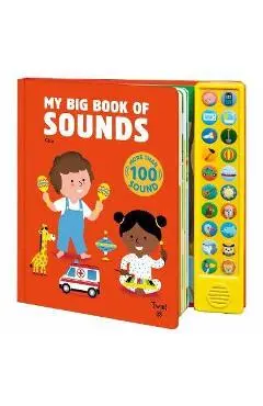 My Big Book of Sounds - Kiko