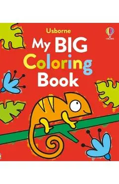 My Big Coloring Book - Kate Nolan