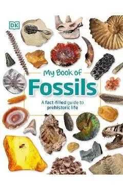 My Book of Fossils: A Fact-Filled Guide to Prehistoric Life - Dk