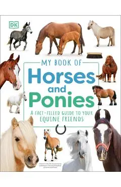 My Book of Horses and Ponies: A Fact-Filled Guide to Your Equine Friends - Dk