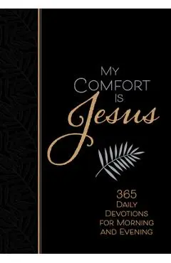 My Comfort Is Jesus: 365 Daily Devotions for Morning and Evening - Ray Comfort