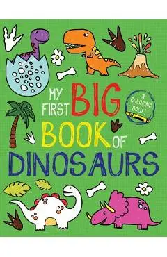 My First Big Book of Dinosaurs - Little Bee Books