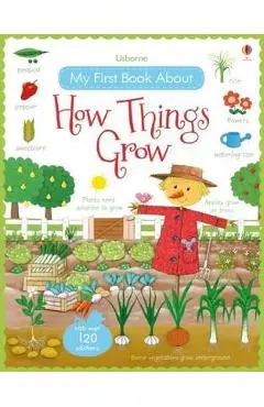 My First Book About How Things Grow