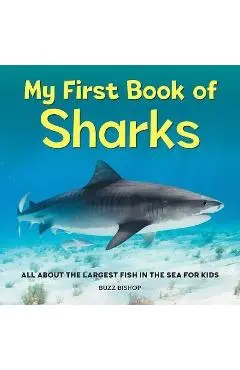 My First Book of Sharks: All about the Largest Fish in the Sea for Kids - Buzz Bishop