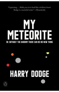 My Meteorite: Or, Without the Random There Can Be No New Thing - Harry Dodge