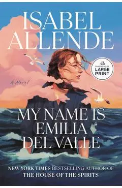 My Name Is Emilia del Valle - Isabel Allende