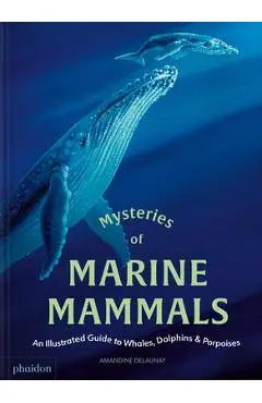 Mysteries of Marine Mammals: An Illustrated Guide to Whales, Dolphins, and Porpoises - Amandine Delaunay