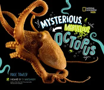 Mysterious, Marvelous Octopus!, Hardback/Paige Towler