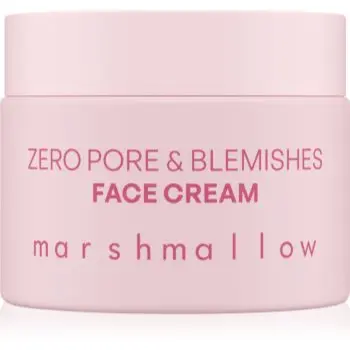 Nacomi Zero Pore & Blemishes cremă pentru față impotriva imperfectiunilor pielii