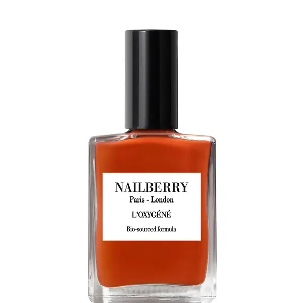 Nailberry Pumpkin Pie