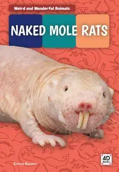 Naked Mole Rats, Library Binding/Emma Bassier