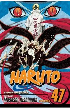 Naruto, Vol. 47, Volume 47 - Masashi Kishimoto