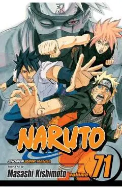 Naruto, Vol. 71, Volume 71 - Masashi Kishimoto
