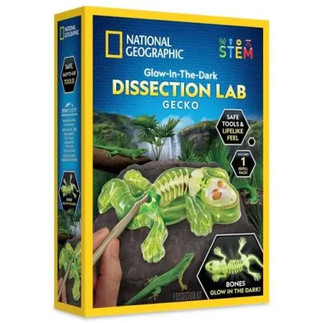 National Geographic - Kit creativ laborator de disectie soparla