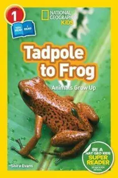 National Geographic Readers: Tadpole to Frog (L1/Co-Reader), Paperback/Shira Evans
