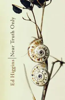 Near Truth Only, Paperback/Ed Higgins