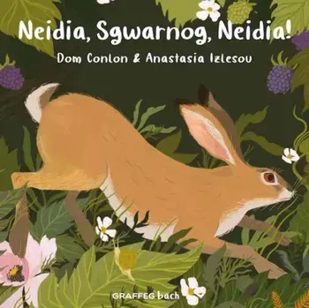 Neidia, Sgwarnog, Neidia!, Paperback/Dom Conlon