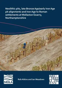 Neolithic Pits, Late Bronze Age/Early Iron Age Pit Alignments and Iron Age to Roman Settlements at Wollaston Quarry, Northamptonshire, Paperback/Ian Meadows