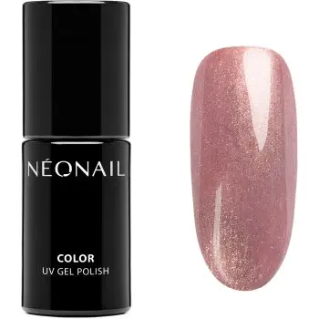 NEONAIL Winter Symphony unghii cu gel folosind UV / lampă cu LED