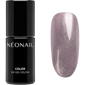 NEONAIL Winter Symphony unghii cu gel folosind UV / lampă cu LED