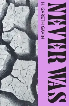 Never Was, Paperback/***