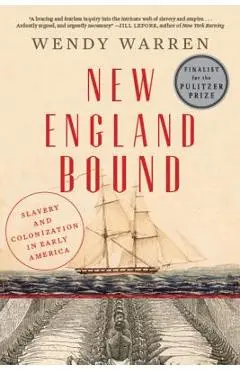 New England Bound: Slavery and Colonization in Early America - Wendy Warren