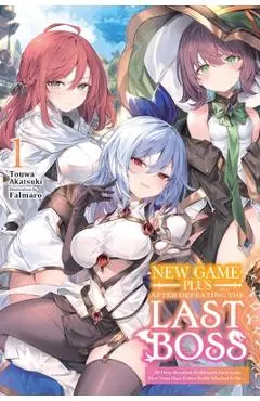 New Game Plus After Defeating the Last Boss, Vol. 1 (Light Novel) - Touwa Akatsuki