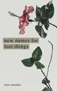 New Names for Lost Things, Paperback/Noor Unnahar