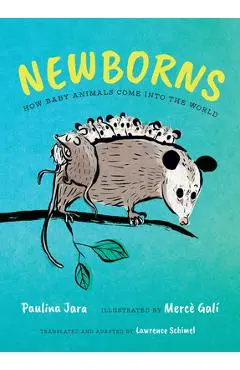 Newborns: How Baby Animals Come Into the World - Paulina Jara