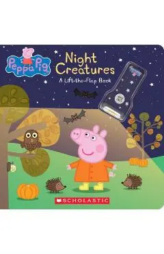 Night Creatures: A Lift-The-Flap Book - Eone