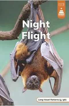 Night Flight - Marley Richmond
