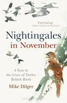 Nightingales in November, Paperback/Mike Dilger