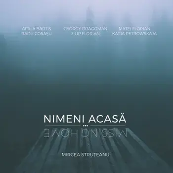 Nimeni Acasa. Missing Home/Mircea Struteanu