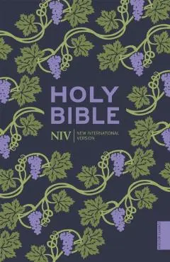 NIV Holy Bible