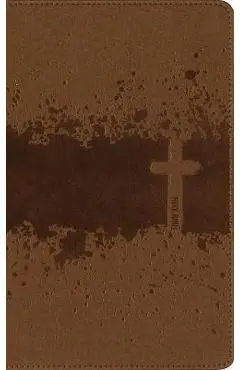 Niv, Kids' Visual Study Bible, Leathersoft, Bronze, Full Color Interior, Peel/Stick Bible Tabs: Explore the Story of the Bible---People, Places, and H - Zondervan